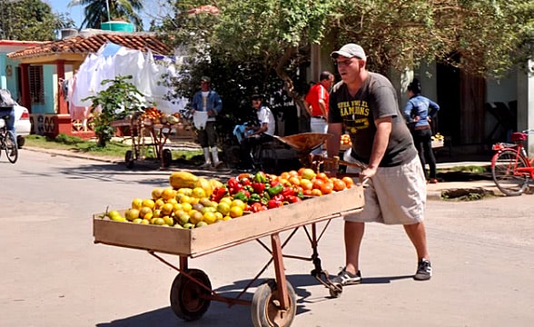 Vinales food market